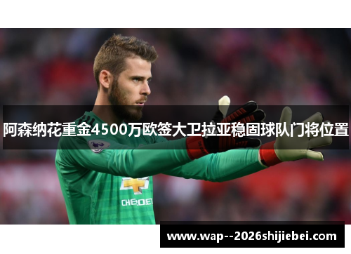 阿森纳花重金4500万欧签大卫拉亚稳固球队门将位置 阿森纳花重金4500万欧签大卫拉亚稳固球队门将位置